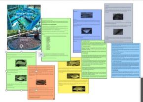 Teknik Budidaya Ikan air Tawar